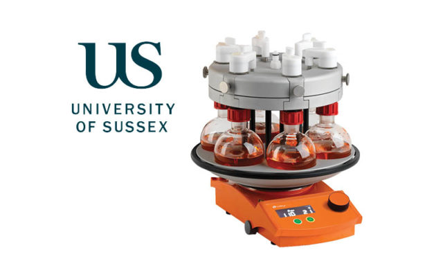 University of Sussex Carousel 6
