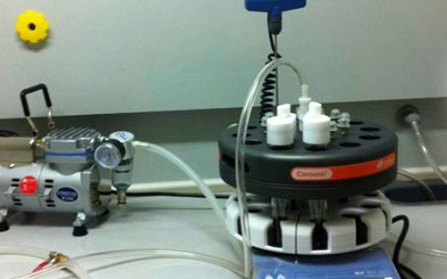 Accelerating sample throughput in a chemistry laboratory using the Carousel 12 Plus Reaction Station. Case study: DSM, Animal Nutrition Centre