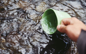 cup of water from river